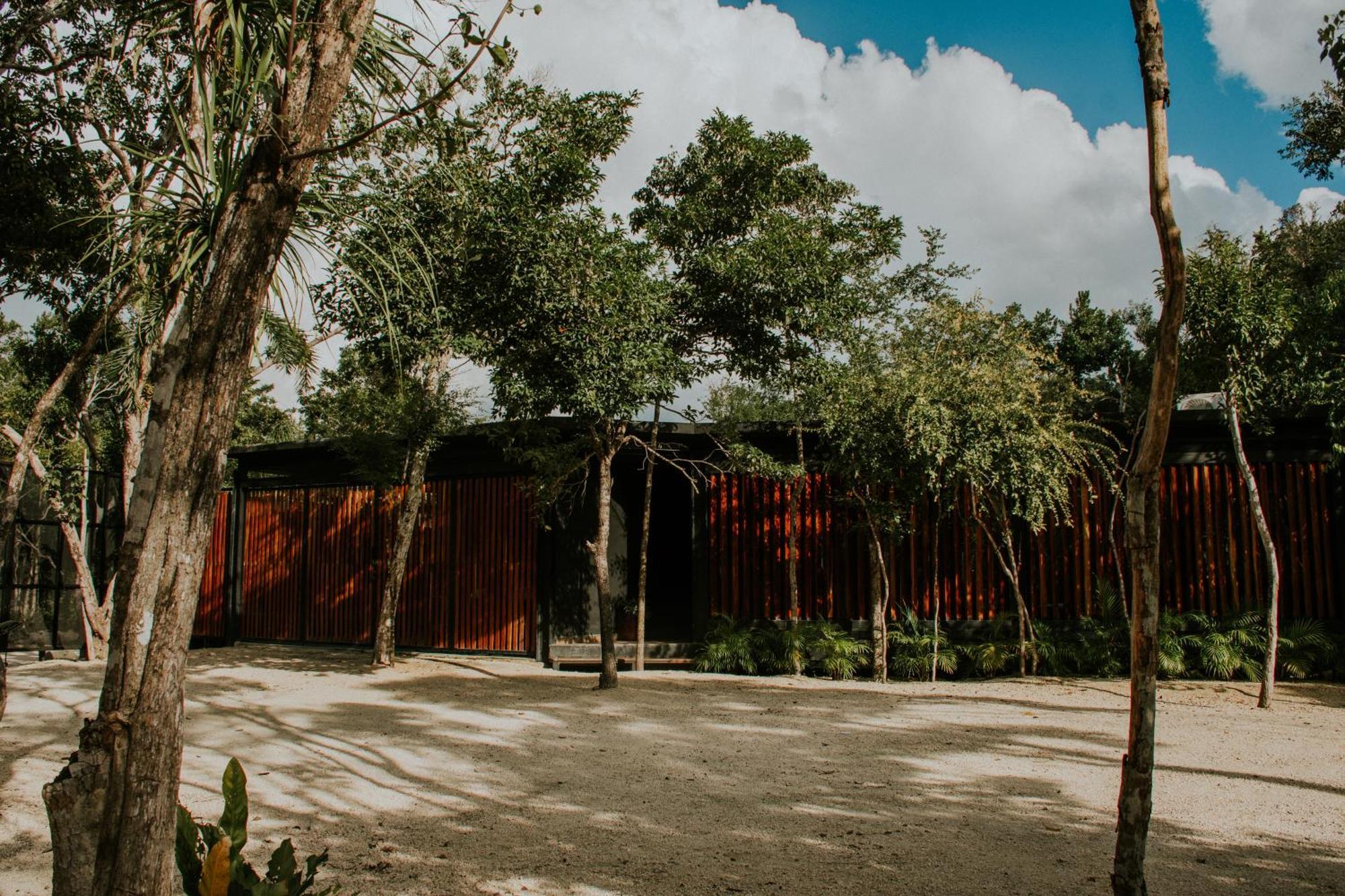 K Naj Community Cenote Residence Balcheil 外观 照片