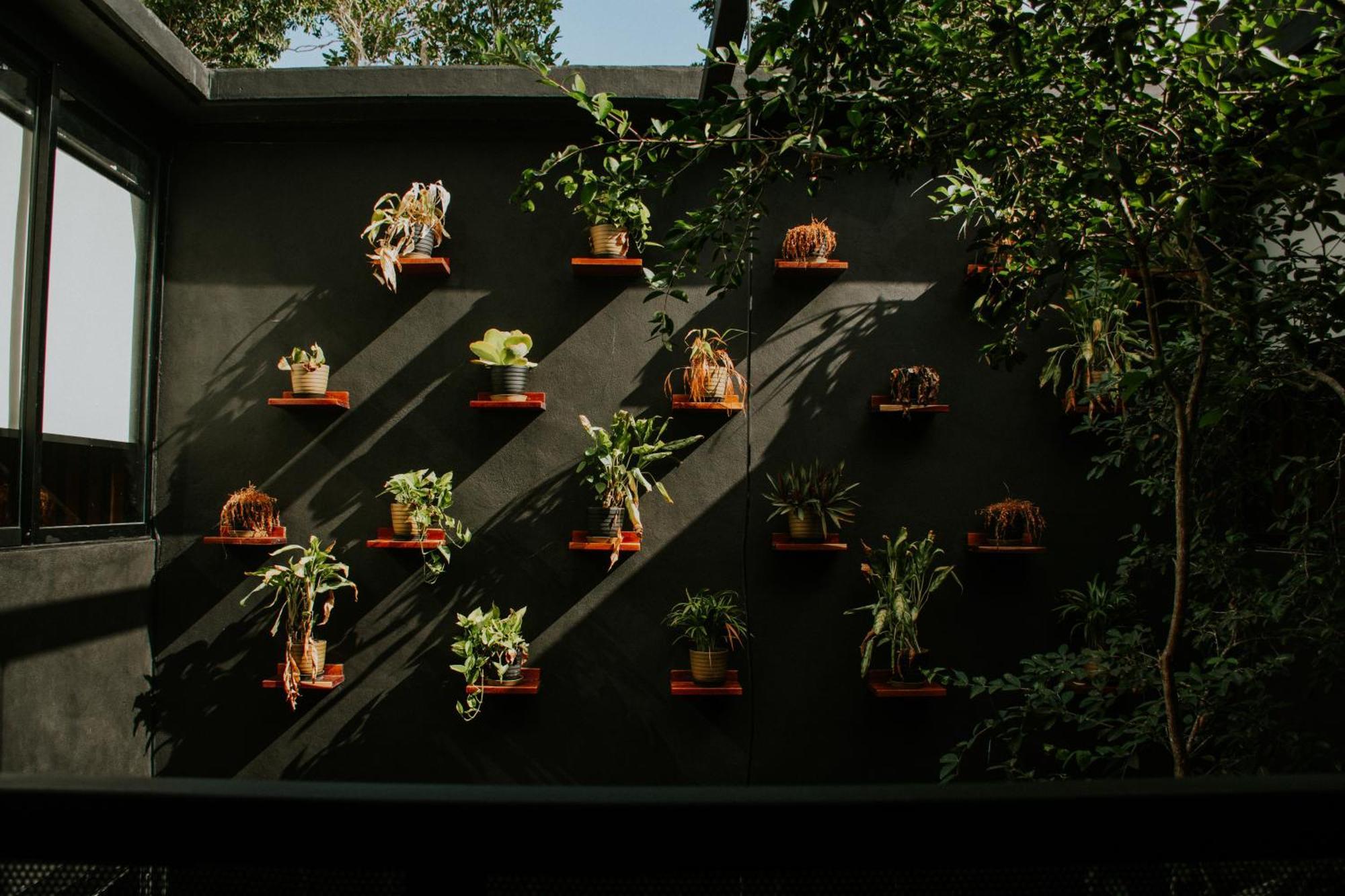 K Naj Community Cenote Residence Balcheil 外观 照片
